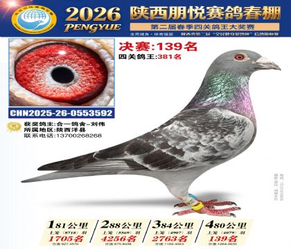 陕西朋悦决赛139名