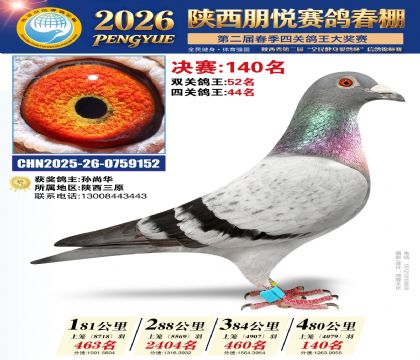 陕西朋悦决赛140名