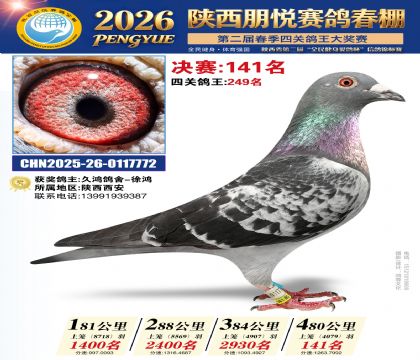 陕西朋悦决赛141名
