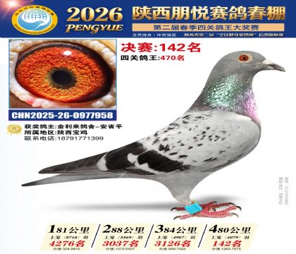 陕西朋悦决赛142名