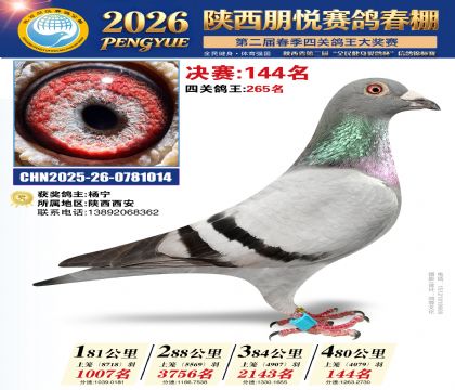 陕西朋悦决赛144名