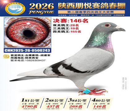 陕西朋悦决赛146名