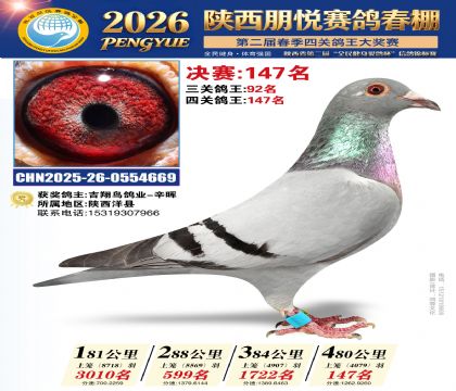 陕西朋悦决赛147名