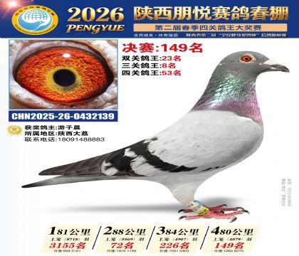 陕西朋悦决赛149名(三关鸽王8名)