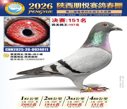陕西朋悦决赛151名