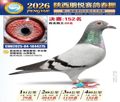 陕西朋悦决赛152名