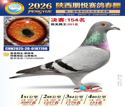 陕西朋悦决赛154名