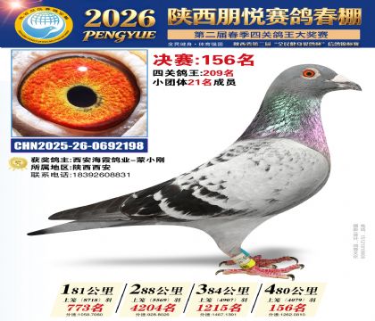 陕西朋悦决赛156名