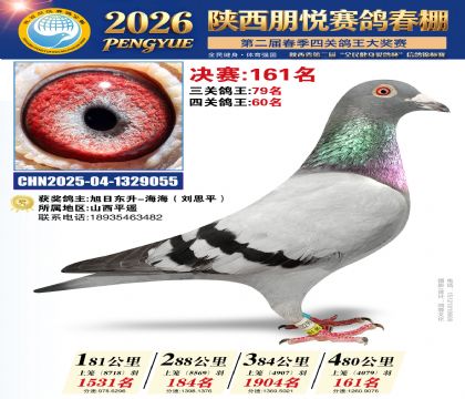 陕西朋悦决赛161名