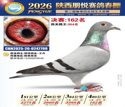 陕西朋悦决赛162名