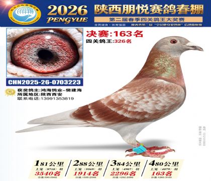 陕西朋悦决赛163名