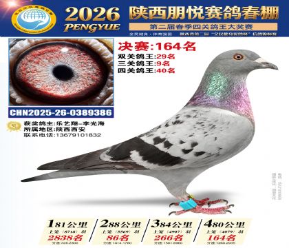 陕西朋悦决赛164名(三关鸽王9名)