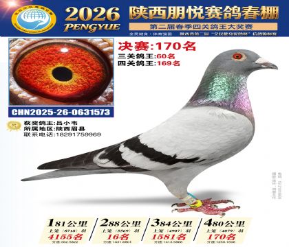 陕西朋悦决赛170名