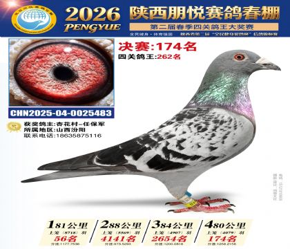 陕西朋悦决赛174名