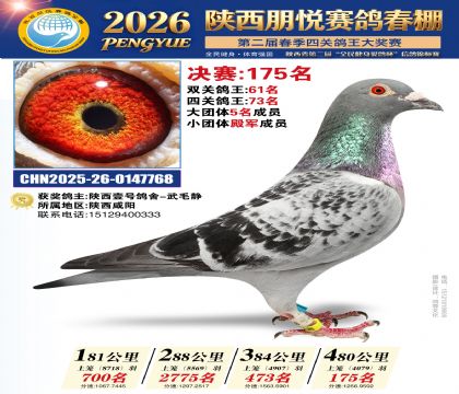 陕西朋悦决赛175名