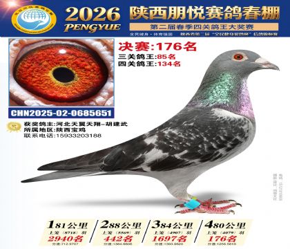 陕西朋悦决赛176名