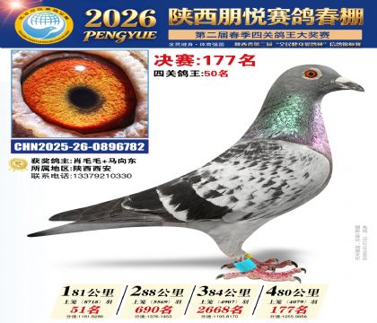 陕西朋悦决赛177名