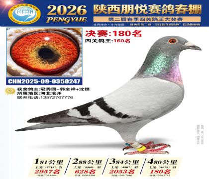 陕西朋悦决赛180名
