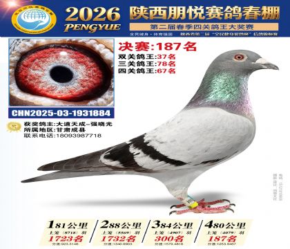 陕西朋悦决赛187名