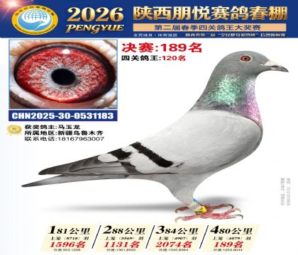 陕西朋悦决赛189名