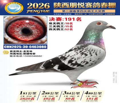 陕西朋悦决赛191名