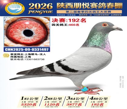 陕西朋悦决赛192名