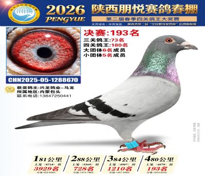 陕西朋悦决赛193名