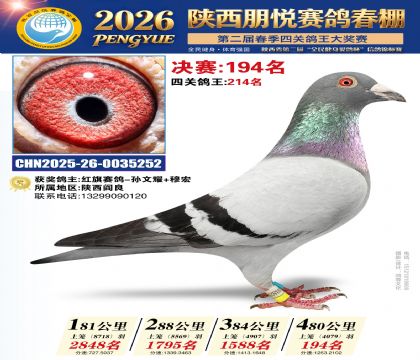 陕西朋悦决赛194名