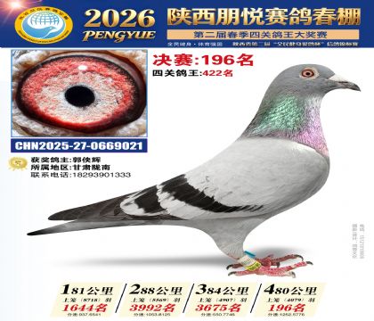 陕西朋悦决赛196名