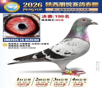 陕西朋悦决赛198名