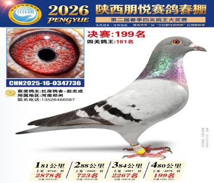 陕西朋悦决赛199名