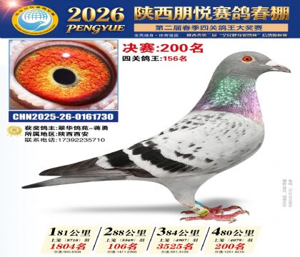 陕西朋悦决赛200名