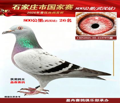 800����26��
