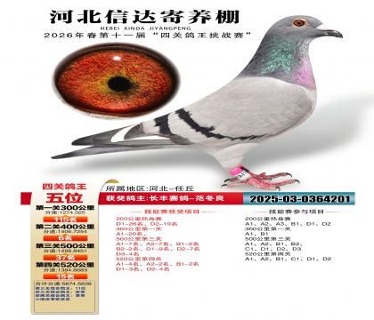 �ӱ��Ŵ��Ĺظ���5��