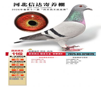 �ӱ��Ŵ��Ĺظ���11��