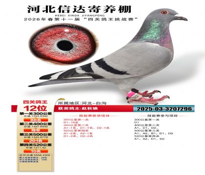 �ӱ��Ŵ��Ĺظ���12��