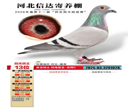 �ӱ��Ŵ��Ĺظ���13��