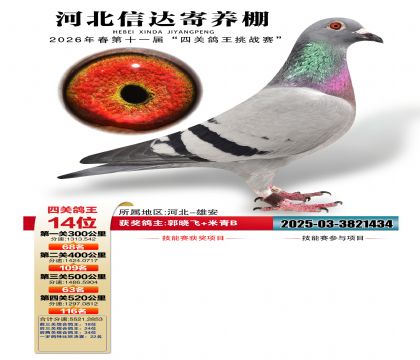 �ӱ��Ŵ��Ĺظ���14��
