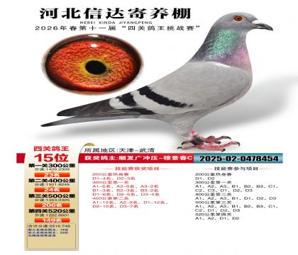�ӱ��Ŵ��Ĺظ���15��