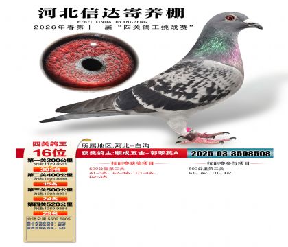 �ӱ��Ŵ��Ĺظ���16��