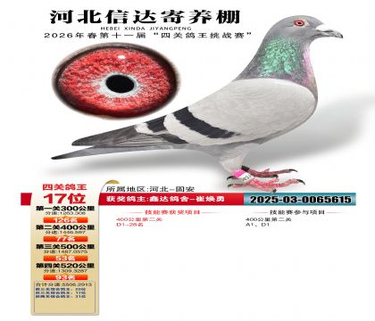 �ӱ��Ŵ��Ĺظ���17��