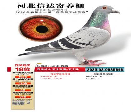 �ӱ��Ŵ��Ĺظ���18��