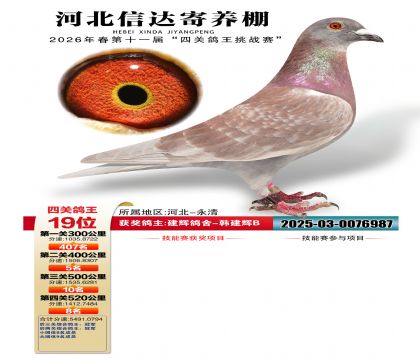 �ӱ��Ŵ��Ĺظ���19��