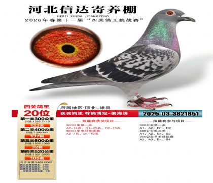 �ӱ��Ŵ��Ĺظ���20��