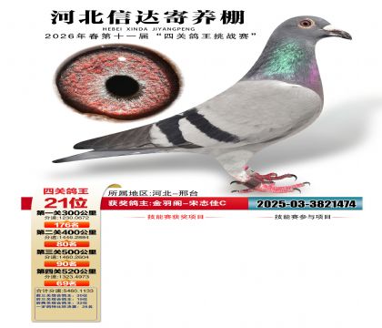 �ӱ��Ŵ��Ĺظ���21��