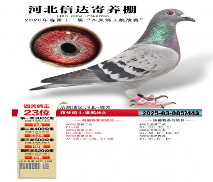 �ӱ��Ŵ��Ĺظ���23��