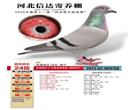 �ӱ��Ŵ��Ĺظ���24��