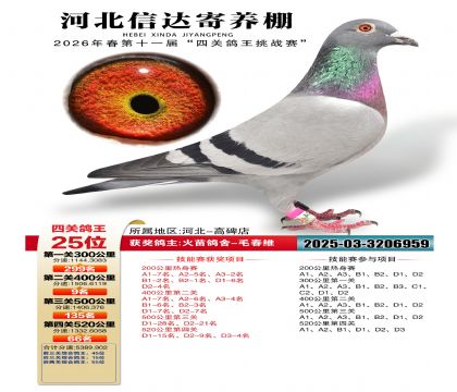 �ӱ��Ŵ��Ĺظ���25��