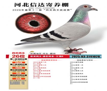 �ӱ��Ŵ��Ĺظ���26��