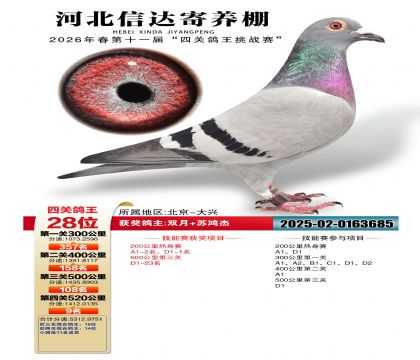 �ӱ��Ŵ��Ĺظ���28��
